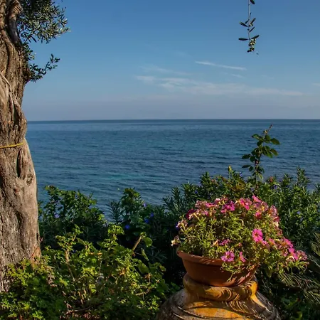 Beachfront Romantica Place *